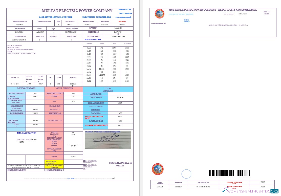 PAKISTAN MULTAN ELECTRIC POWER business utility bill Word and PDF template, version 2